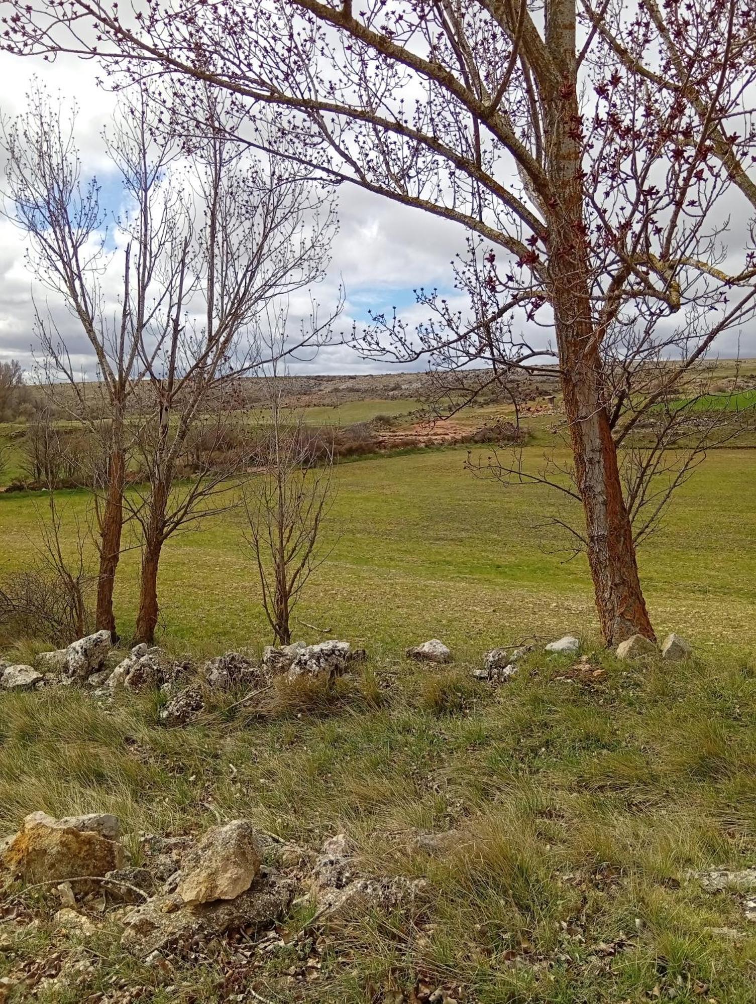 Los Quinones Fuentes Calientes Екстер'єр фото